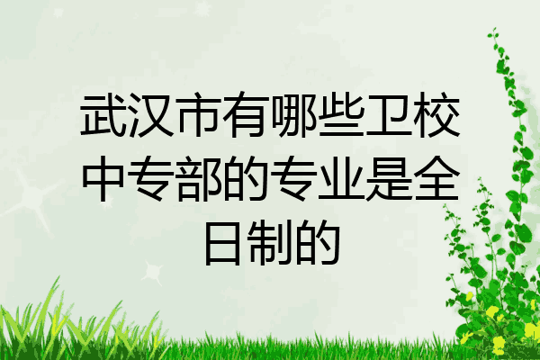 武汉市有哪些卫校中专部的专业是全日制的