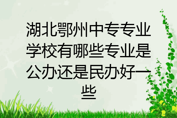 湖北鄂州中专专业学校有哪些专业是公办还是民办好一些