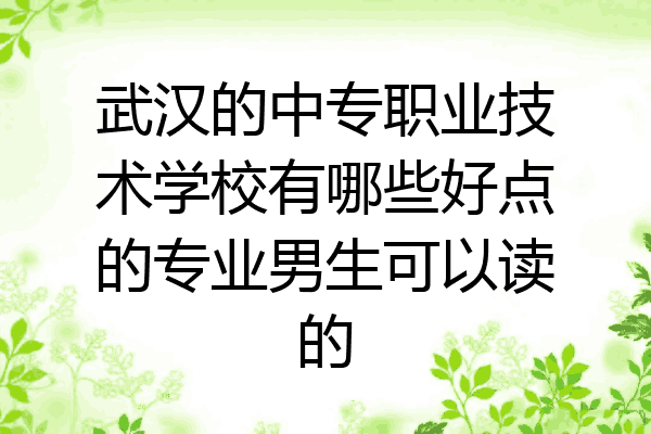 武汉的中专职业技术学校有哪些好点的专业男生可以读的