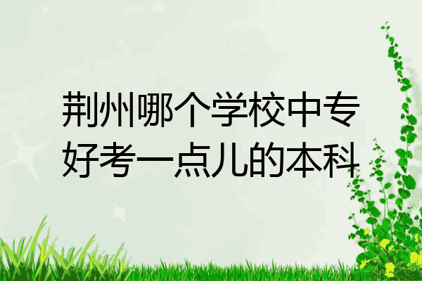 荆州哪个学校中专好考一点儿的本科
