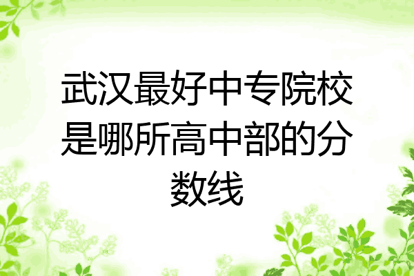 武汉最好中专院校是哪所高中部的分数线