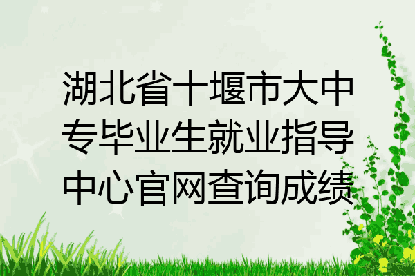 湖北省十堰市大中专毕业生就业指导中心官网查询成绩
