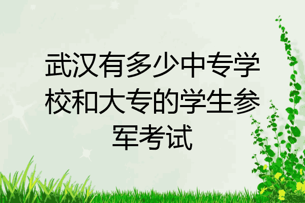 武汉有多少中专学校和大专的学生参军考试