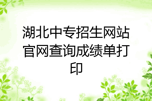 湖北中专招生网站官网查询成绩单打印