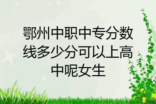 鄂州中职中专分数线多少分可以上高中呢女生