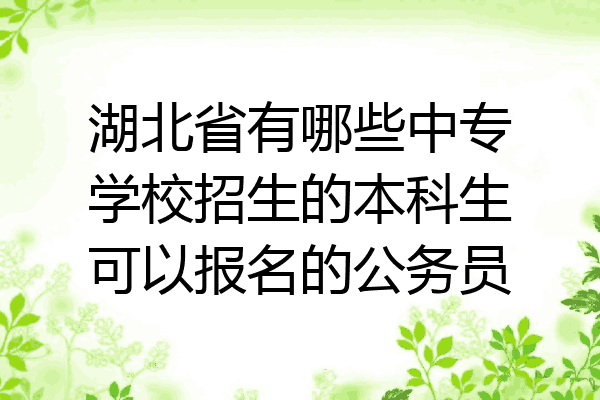 湖北省有哪些中专学校招生的本科生可以报名的公务员