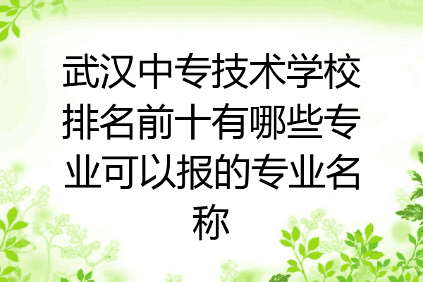 武汉中专技术学校排名前十有哪些专业可以报的专业名称