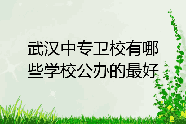 武汉中专卫校有哪些学校公办的最好