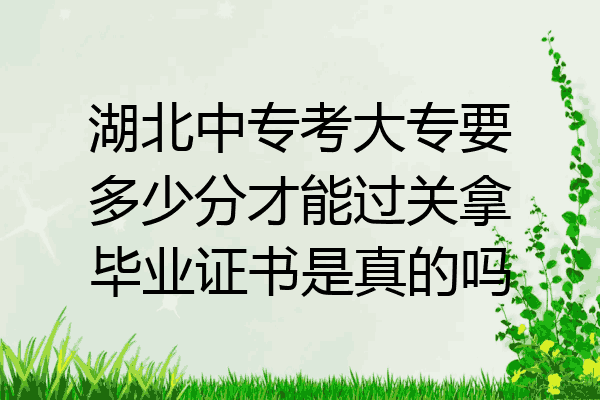 湖北中专考大专要多少分才能过关拿毕业证书是真的吗