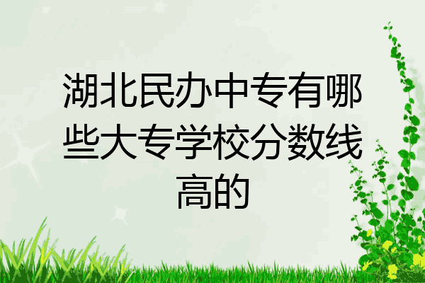 湖北民办中专有哪些大专学校分数线高的