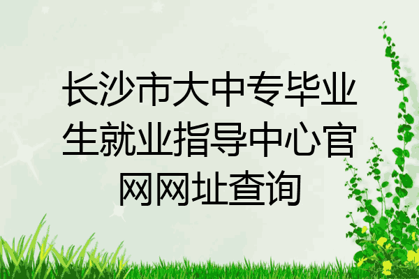 长沙市大中专毕业生就业指导中心官网网址查询