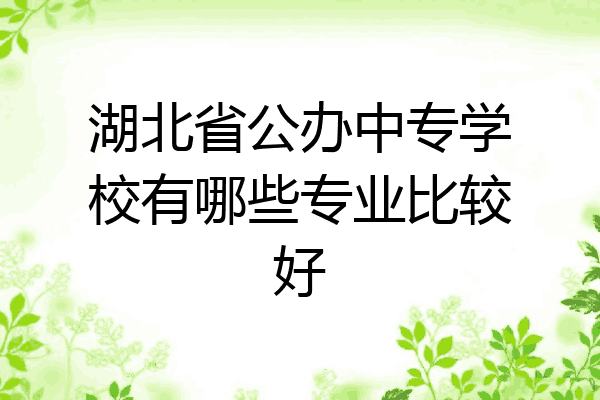 湖北省公办中专学校有哪些专业比较好
