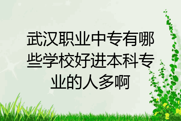 武汉职业中专有哪些学校好进本科专业的人多啊