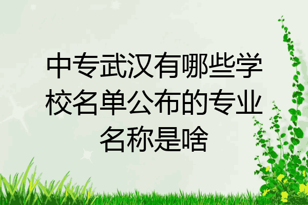 中专武汉有哪些学校名单公布的专业名称是啥