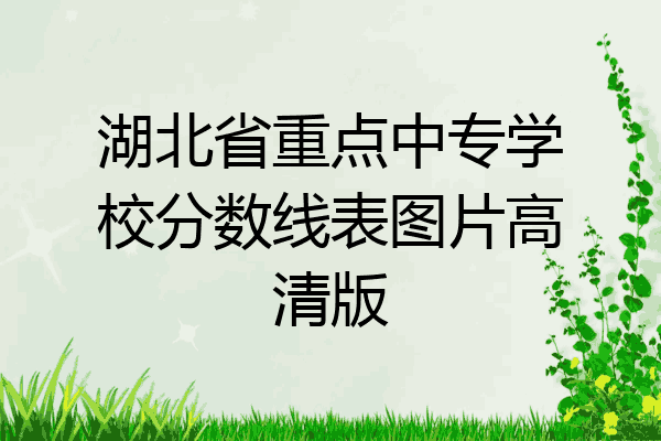 湖北省重点中专学校分数线表图片高清版