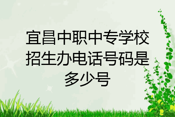 宜昌中职中专学校招生办电话号码是多少号