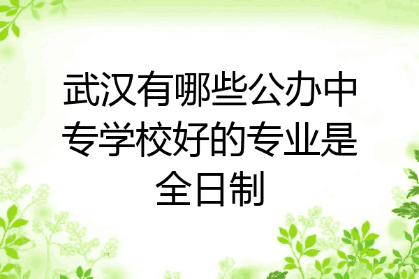 武汉有哪些公办中专学校好的专业是全日制