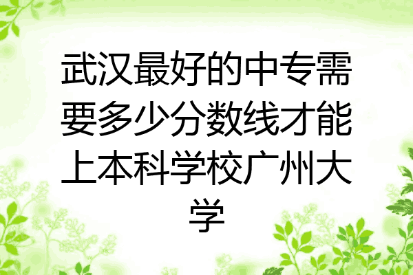 武汉最好的中专需要多少分数线才能上本科学校广州大学