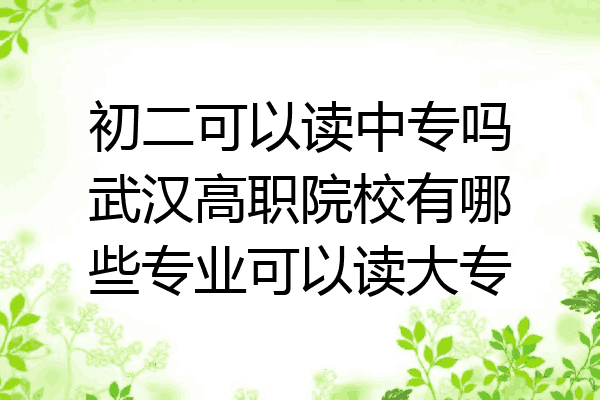 初二可以读中专吗武汉高职院校有哪些专业可以读大专