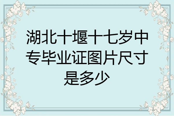 湖北十堰十七岁中专毕业证图片尺寸是多少