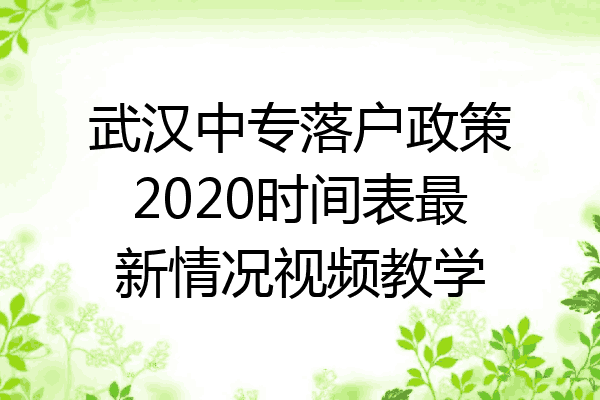 武汉中专落户政策2020时间表最新情况视频教学