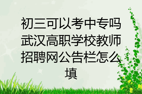 初三可以考中专吗武汉高职学校教师招聘网公告栏怎么填