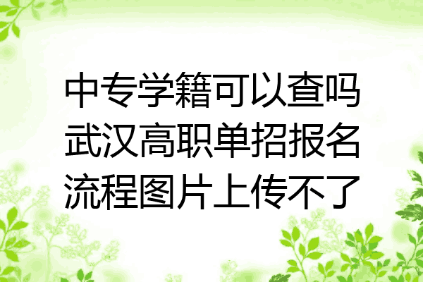中专学籍可以查吗武汉高职单招报名流程图片上传不了