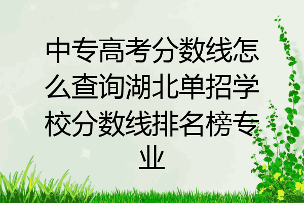 中专高考分数线怎么查询湖北单招学校分数线排名榜专业