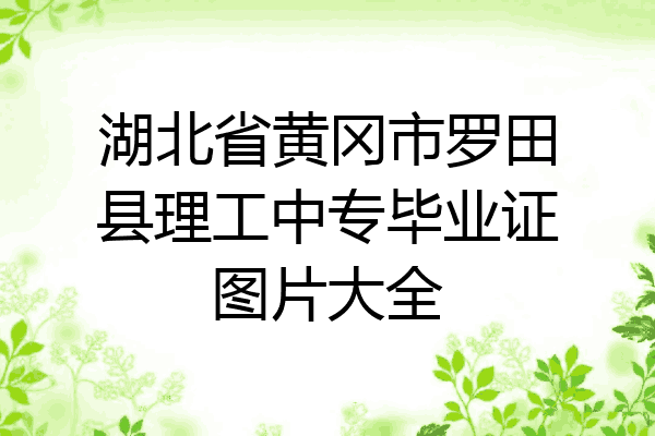 湖北省黄冈市罗田县理工中专毕业证图片大全