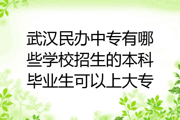 武汉民办中专有哪些学校招生的本科毕业生可以上大专