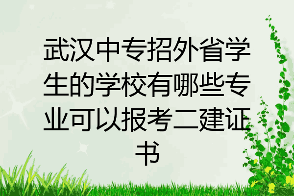 武汉中专招外省学生的学校有哪些专业可以报考二建证书