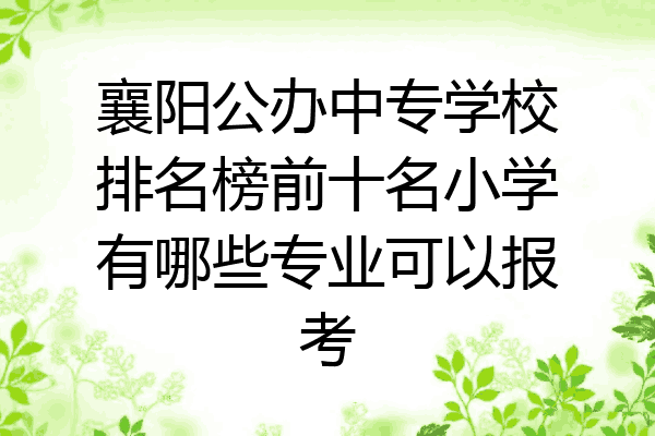 襄阳公办中专学校排名榜前十名小学有哪些专业可以报考