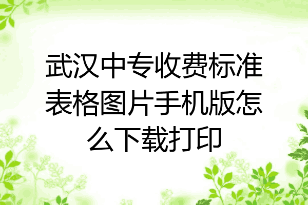 武汉中专收费标准表格图片手机版怎么下载打印