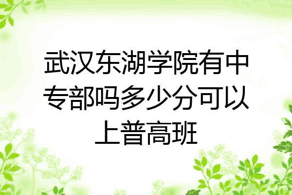 武汉东湖学院有中专部吗多少分可以上普高班