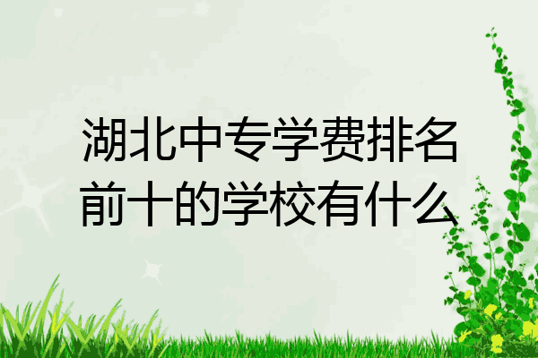 湖北中专学费排名前十的学校有什么