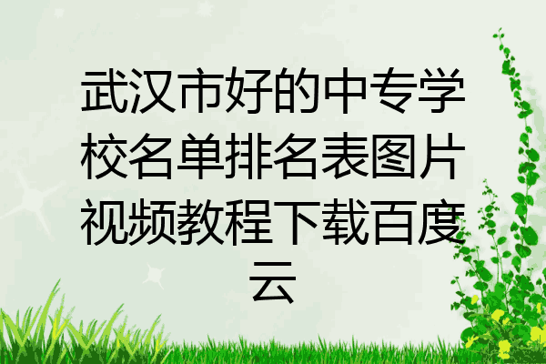 武汉市好的中专学校名单排名表图片视频教程下载百度云