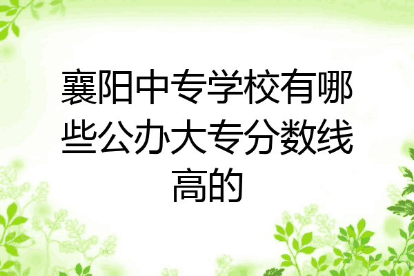 襄阳中专学校有哪些公办大专分数线高的