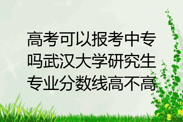 高考可以报考中专吗武汉大学研究生专业分数线高不高