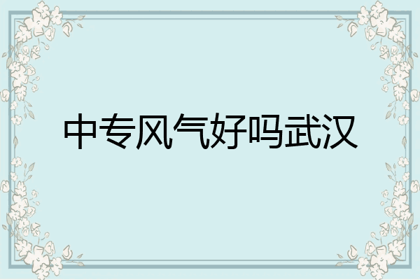 中专风气好吗武汉
