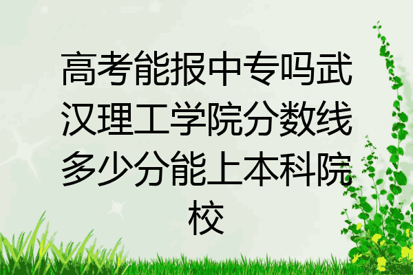 高考能报中专吗武汉理工学院分数线多少分能上本科院校