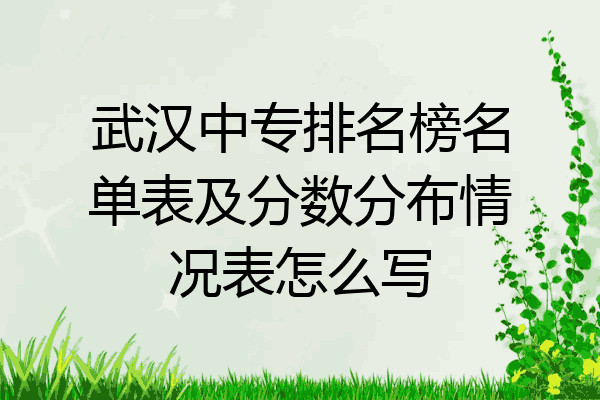 武汉中专排名榜名单表及分数分布情况表怎么写