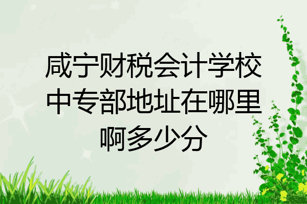 咸宁财税会计学校中专部地址在哪里啊多少分