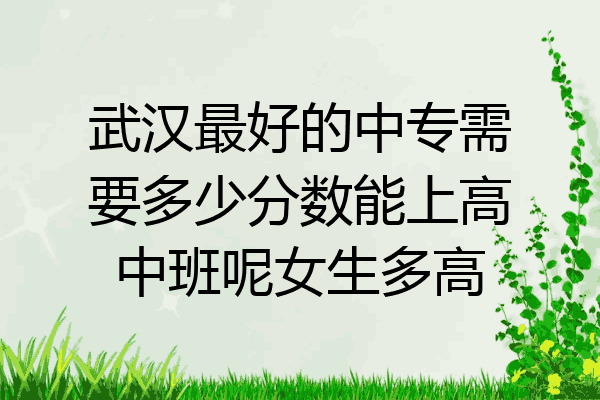 武汉最好的中专需要多少分数能上高中班呢女生多高