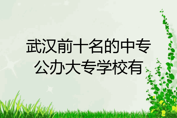 武汉前十名的中专公办大专学校有