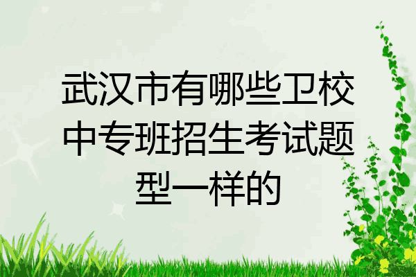 武汉市有哪些卫校中专班招生考试题型一样的