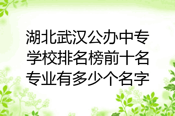 湖北武汉公办中专学校排名榜前十名专业有多少个名字