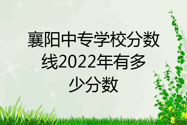 襄阳中专学校分数线2022年有多少分数