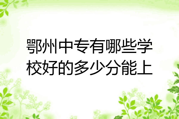 鄂州中专有哪些学校好的多少分能上