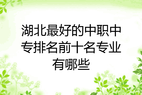 湖北最好的中职中专排名前十名专业有哪些