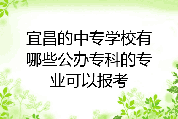 宜昌的中专学校有哪些公办专科的专业可以报考